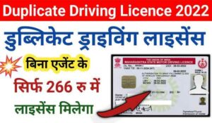 Duplicate Driving Licence Process